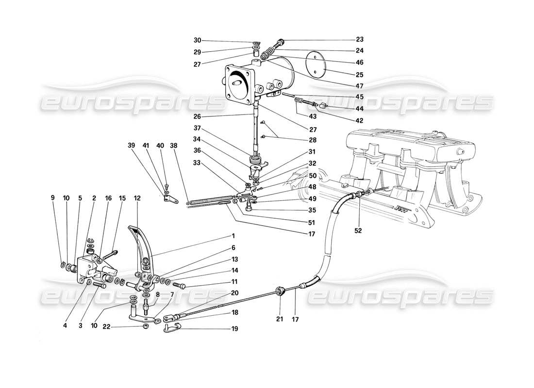 Ferrari 308 (1981) GTBi/GTSi Alloggiamento e collegamento dell'acceleratore Diagramma delle parti