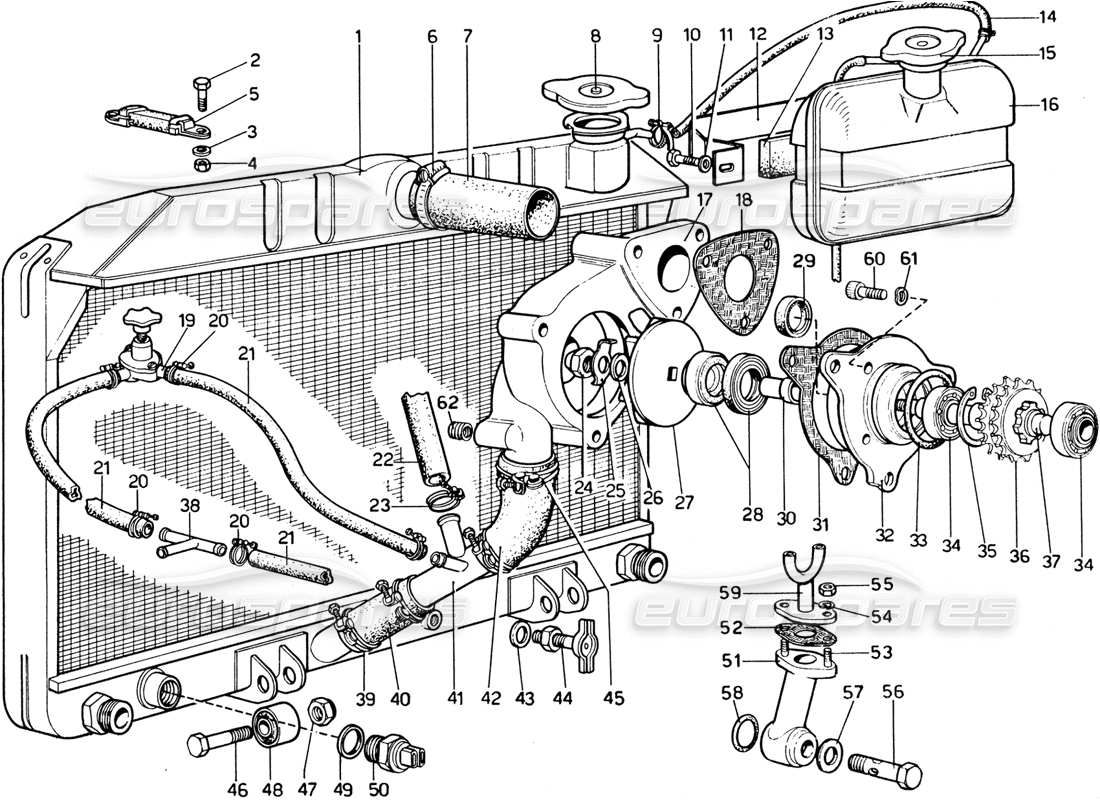 Diagramma delle parti di Ferrari 365 GTB4 Daytona (1969) Cooling System - Water Pump & Radiator