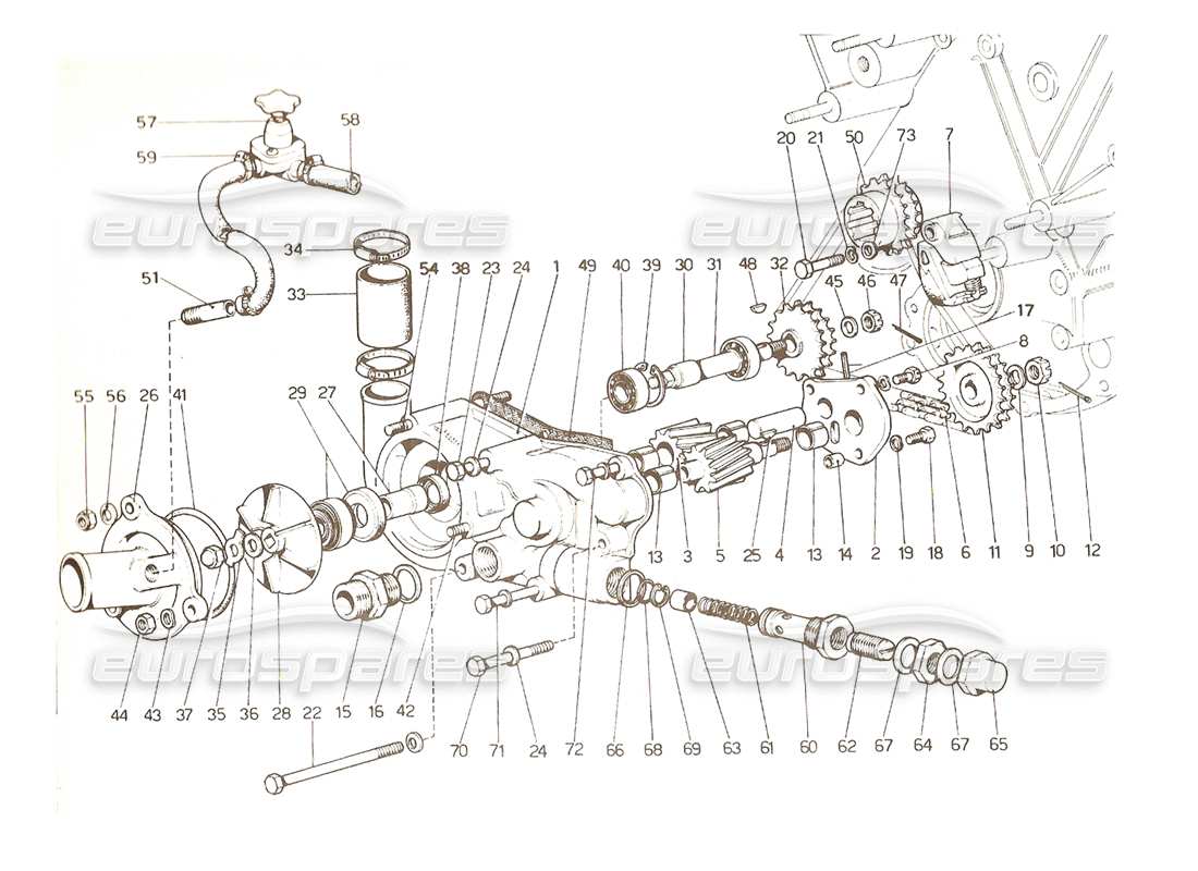 Ferrari 365 GTC4 (meccanico) Water & Oil pump - Revision diagramma delle parti