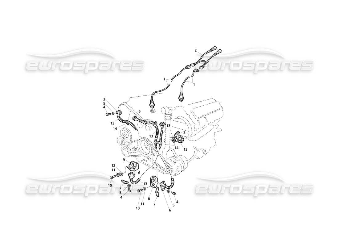 Maserati QTP V8 Evoluzione Sistema di accensione: sensori Diagramma delle parti