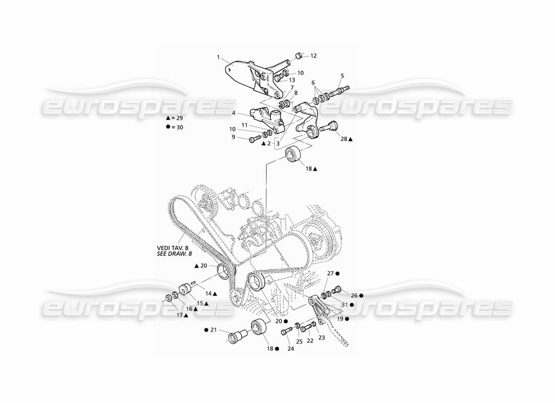 Maserati QTP V6 Evoluzione Controllo del tempo Diagramma delle parti