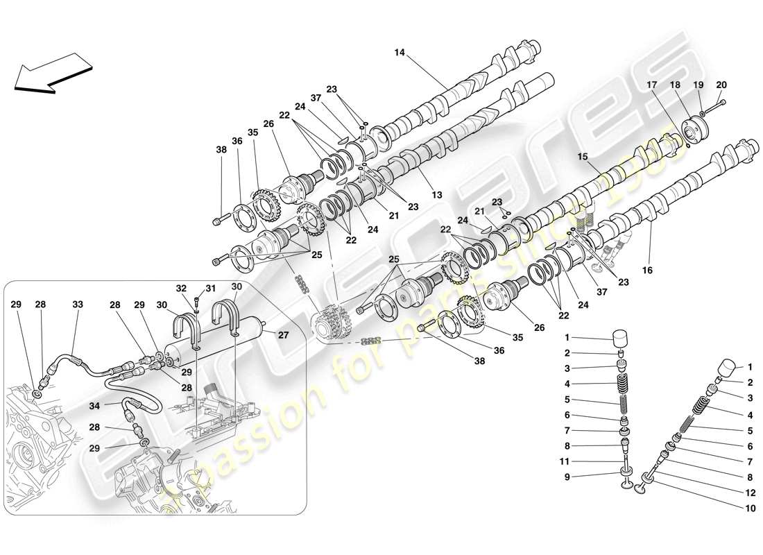 Ferrari F430 Spider (USA) Sistema di distribuzione - Punterie Diagramma delle parti