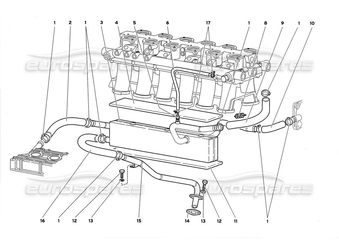 Diagramma delle parti Lamborghini Diablo GT (1999) Sistema di respirazione dell'olio motore