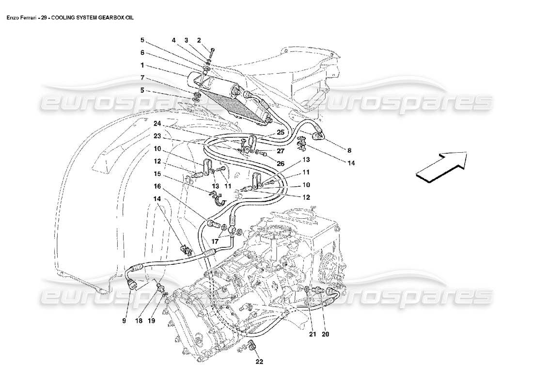 Ferrari Enzo Olio del cambio del sistema di raffreddamento Diagramma delle parti