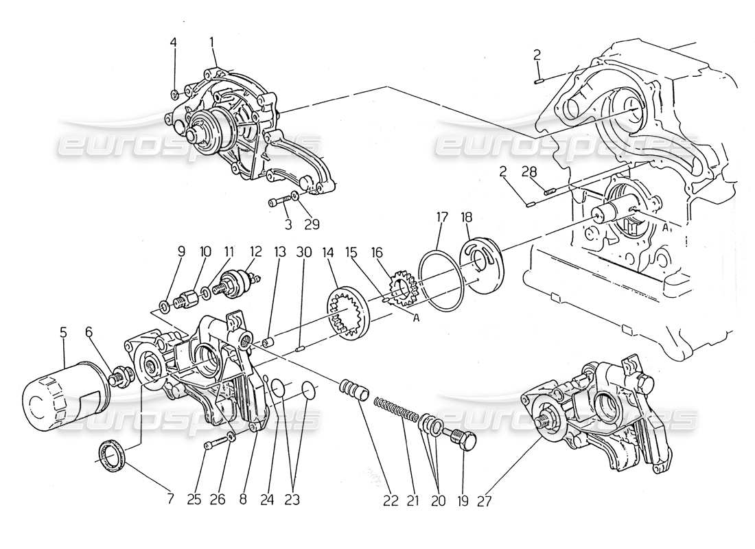 maserati 2.24v pompa dell'acqua - schema delle parti della pompa dell'olio