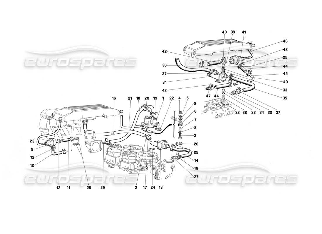 ferrari testarossa (1987) sistema di iniezione del carburante: diagramma delle parti di valvole e linee