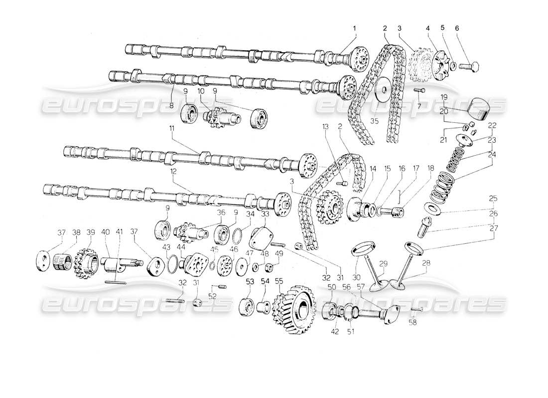 lamborghini countach lp400 diagramma delle parti di distribuzione