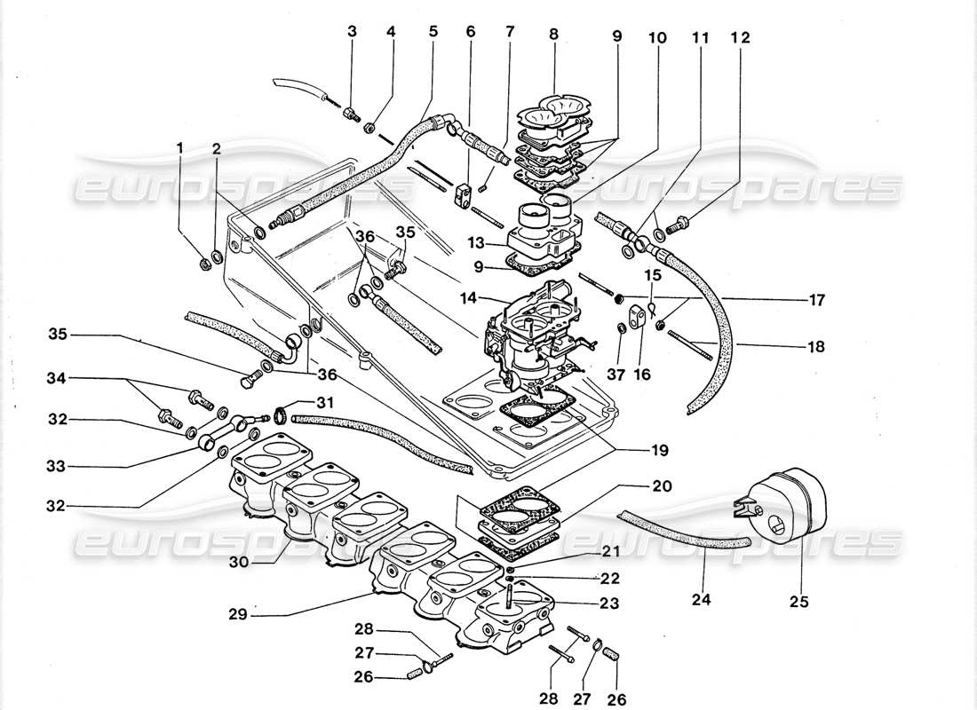 lamborghini lm002 (1988) schema delle parti dei carburatori