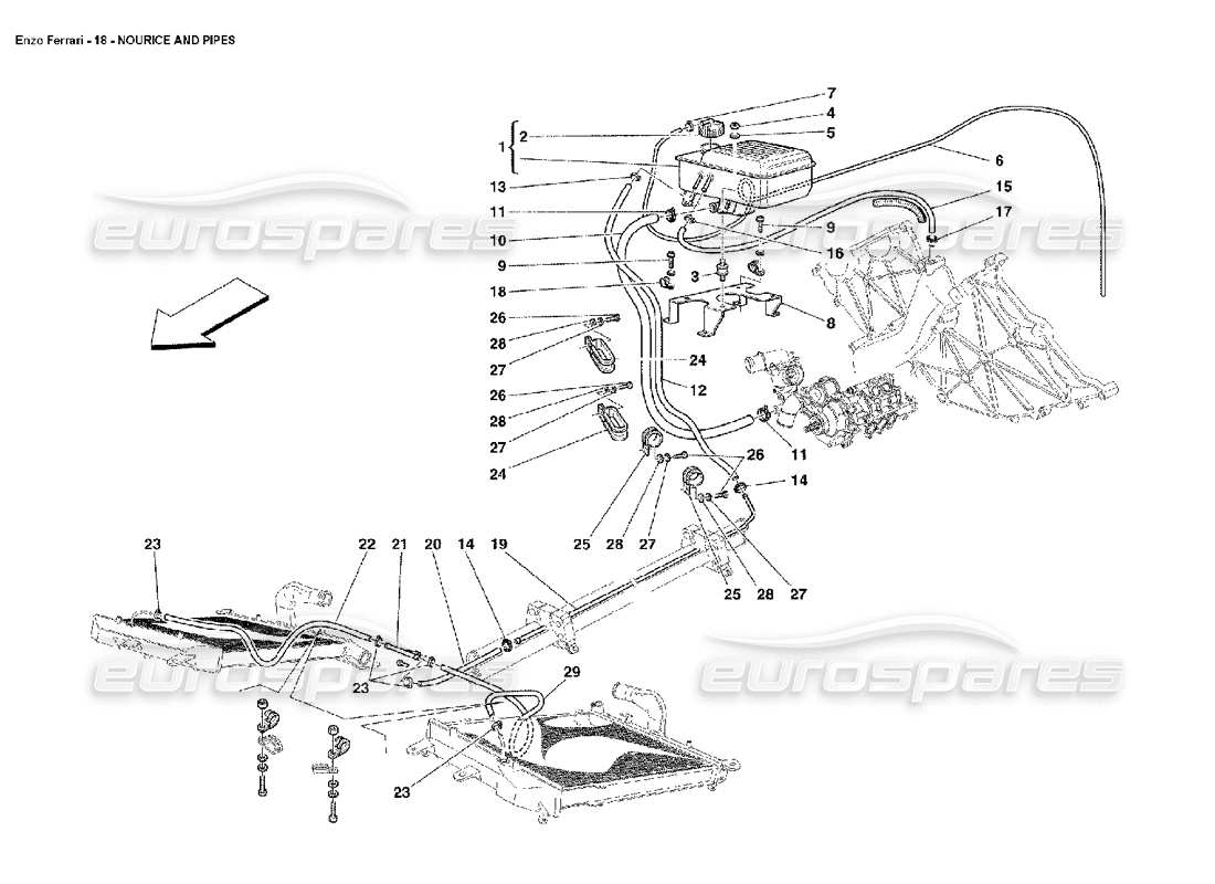 ferrari enzo nourice e tubi diagramma delle parti