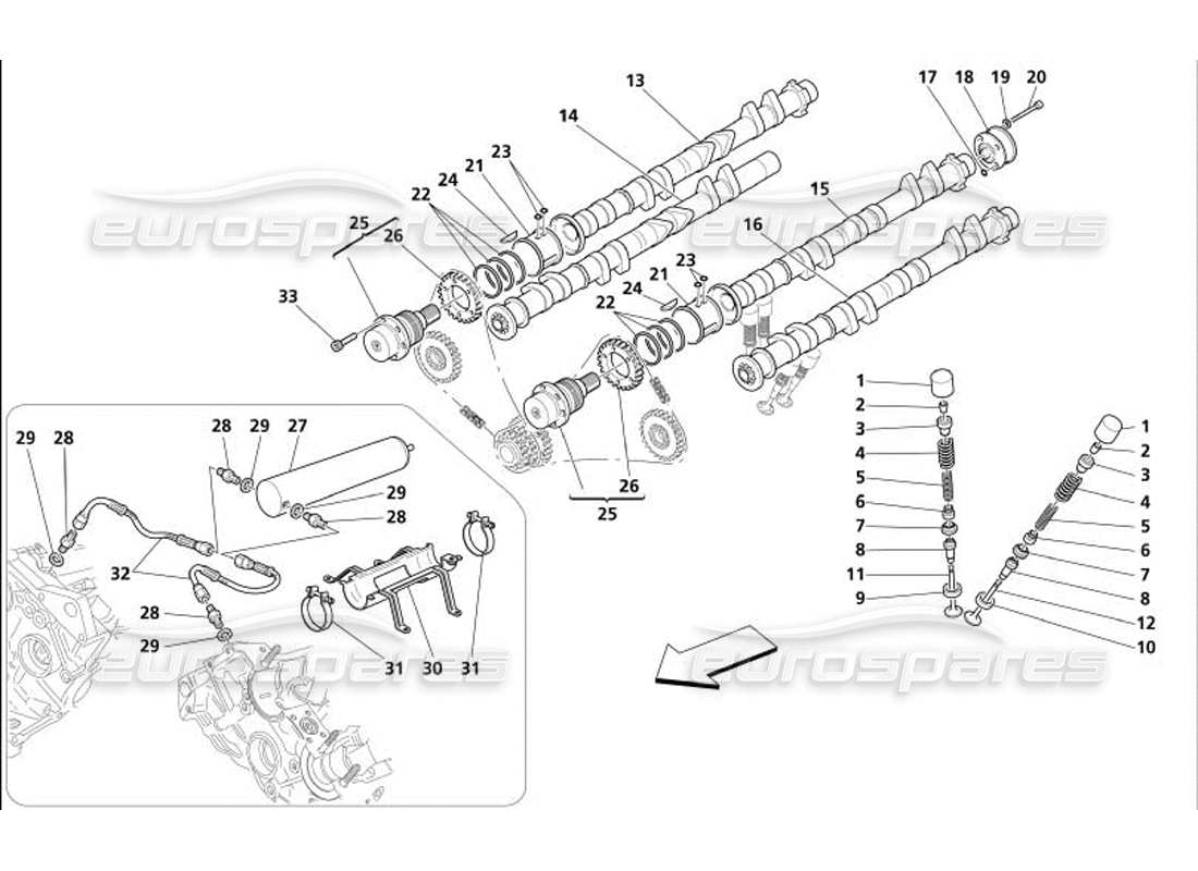 maserati 4200 coupe (2005) distribuzione: diagramma delle parti delle punterie