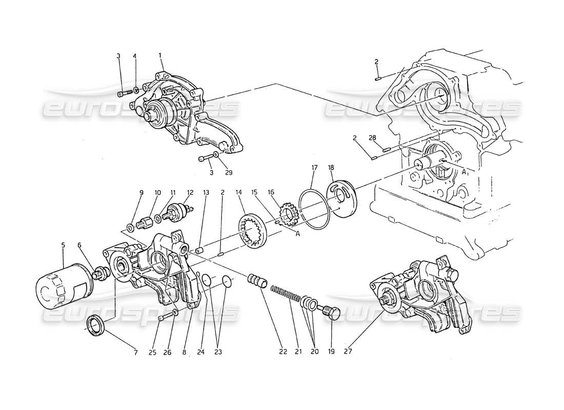 maserati biturbo 2.5 (1984) diagramma delle parti della pompa dell'acqua e della pompa dell'olio