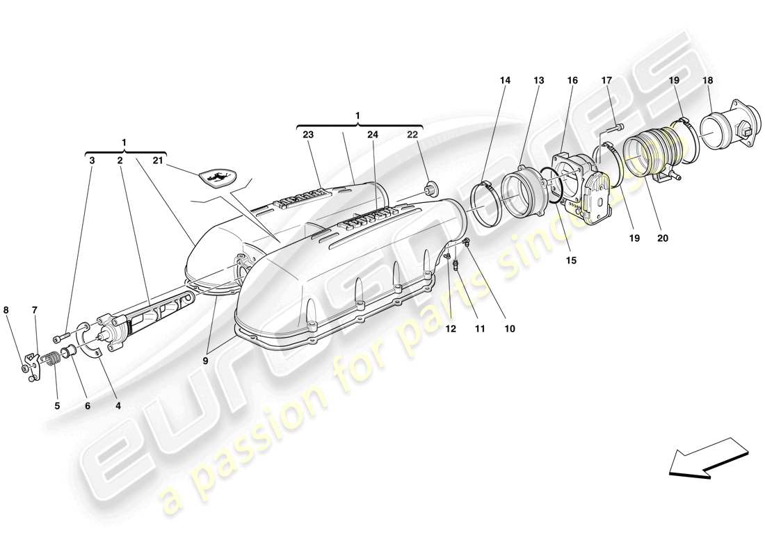 ferrari f430 scuderia (usa) copertura collettore aspirazione diagramma delle parti