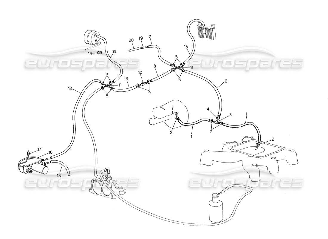 maserati biturbo spider schema delle parti del sistema di evaporazione (sterzo destro con sonda lambda).