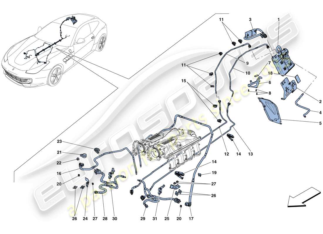 ferrari gtc4 lusso t (rhd) sistema di controllo emissioni evaporative schema particolare