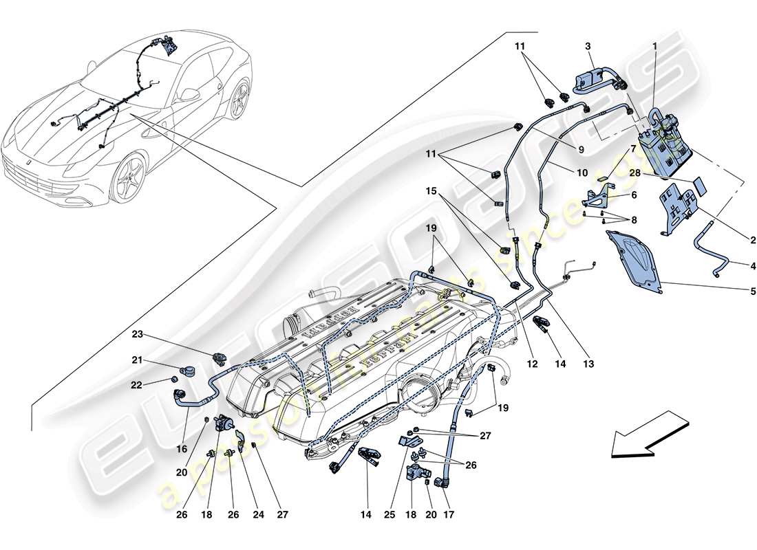 ferrari ff (rhd) sistema di controllo emissioni evaporative diagramma delle parti