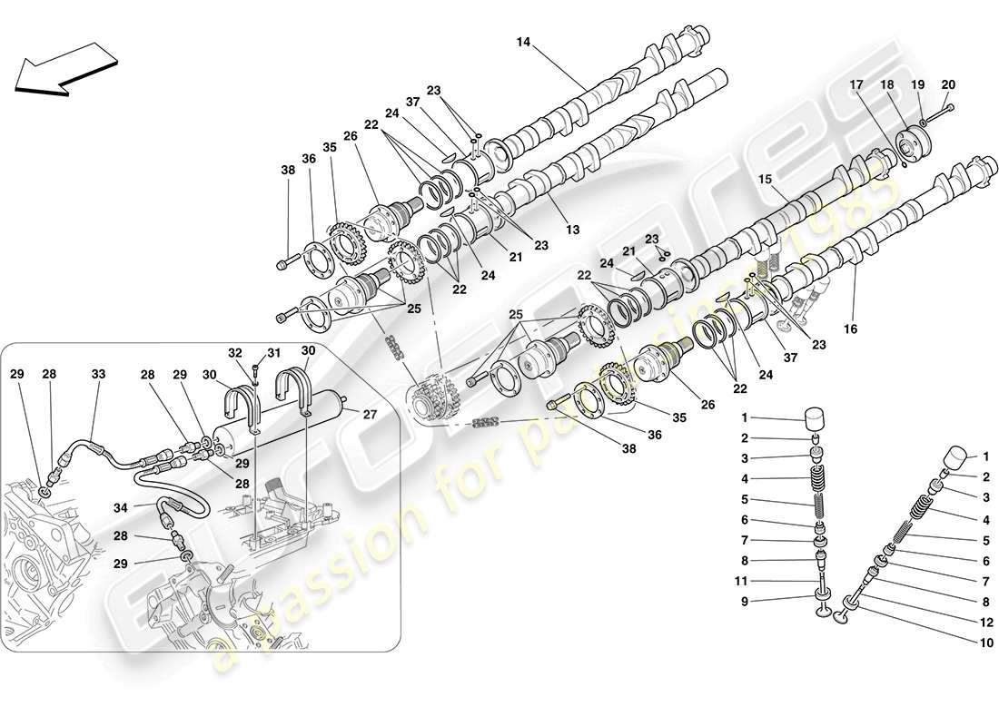 ferrari f430 coupe (rhd) sistema di distribuzione - punterie diagramma delle parti