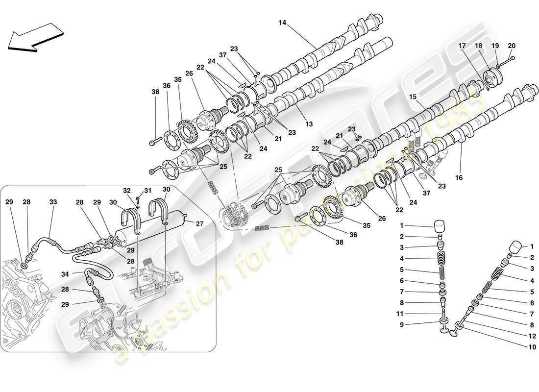 ferrari f430 coupe (usa) distribuzione - punterie schema delle parti