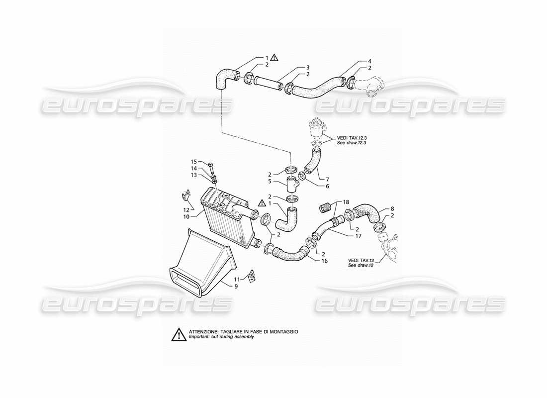 maserati qtp v6 (1996) diagramma della parte lato destro dei tubi dello scambiatore di calore