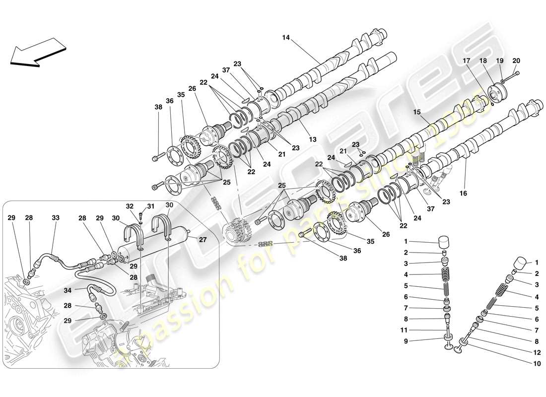 ferrari f430 scuderia spider 16m (europe) sistema di distribuzione - punterie diagramma delle parti