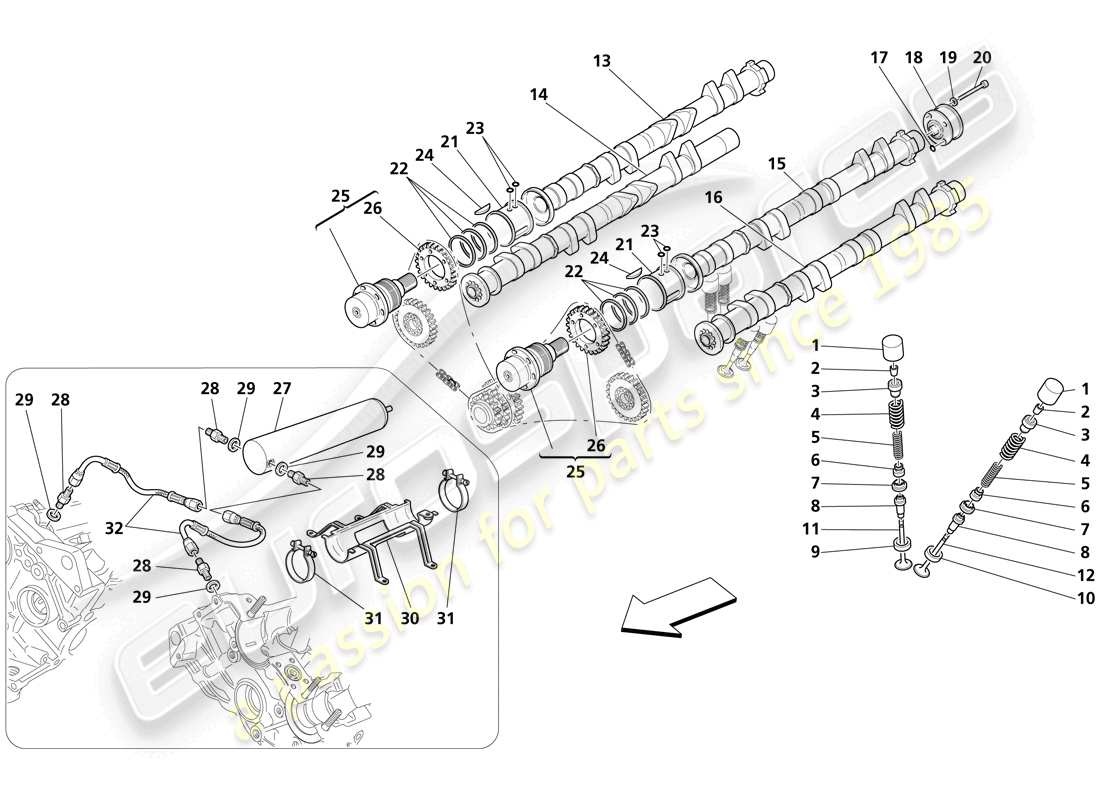 maserati trofeo distribuzione: diagramma delle parti delle punterie