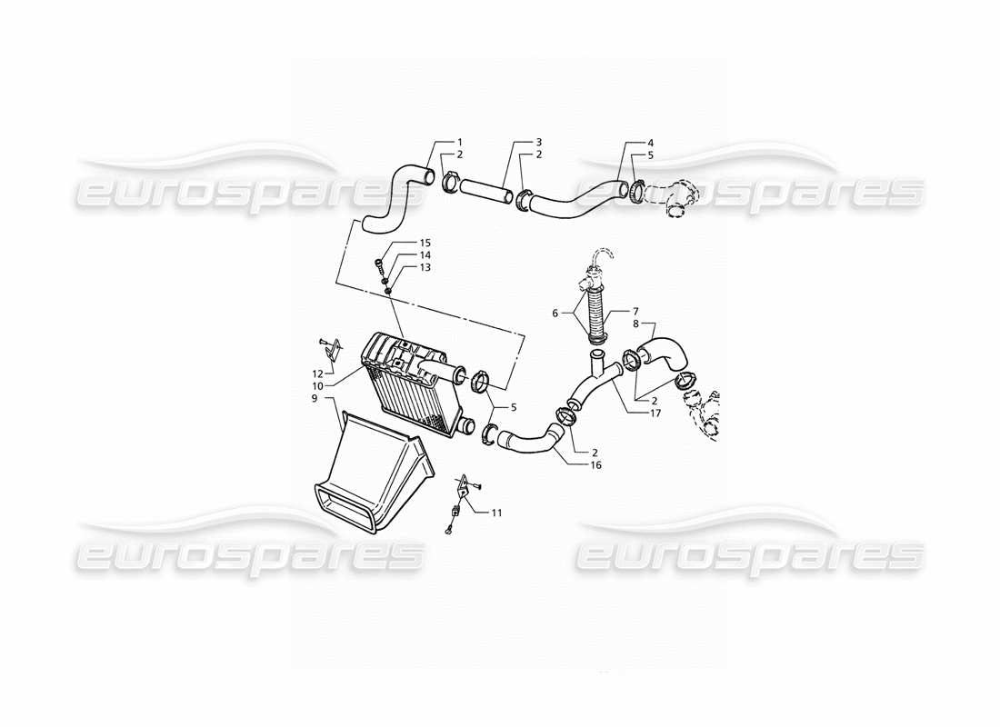 maserati qtp. 3.2 v8 (1999) diagramma della parte lato destro dei tubi dello scambiatore di calore