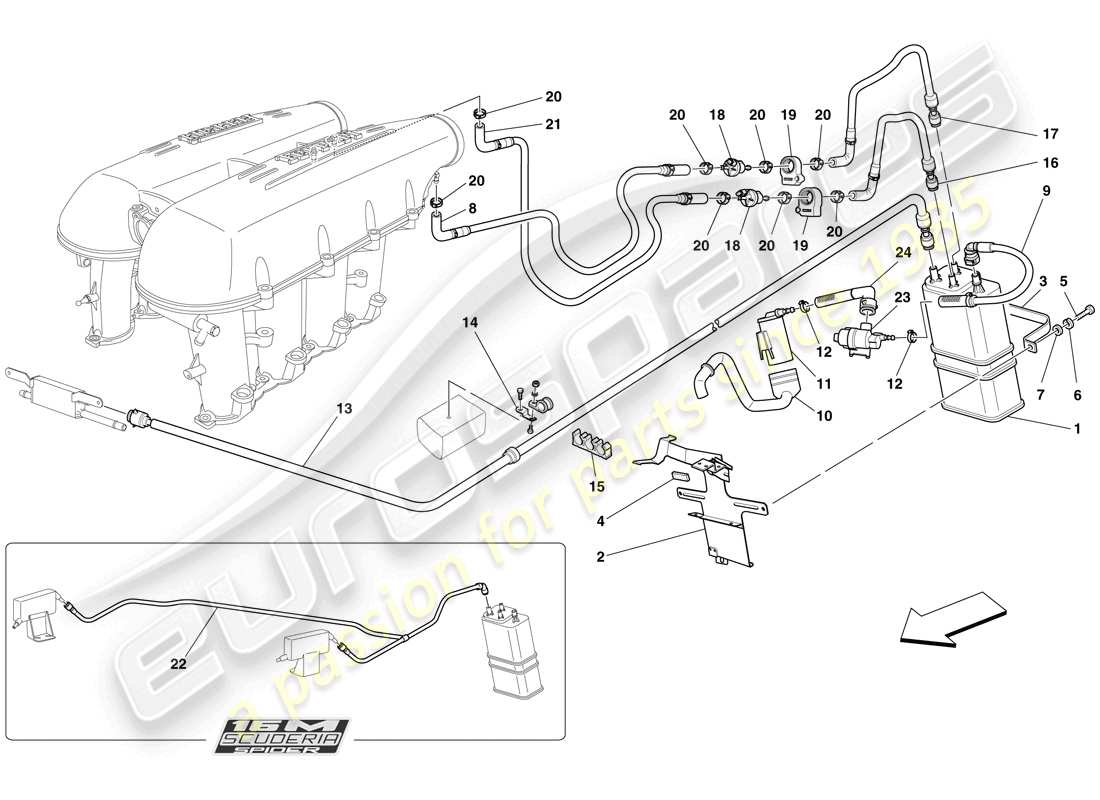 ferrari f430 scuderia (rhd) sistema di controllo emissioni evaporative diagramma delle parti