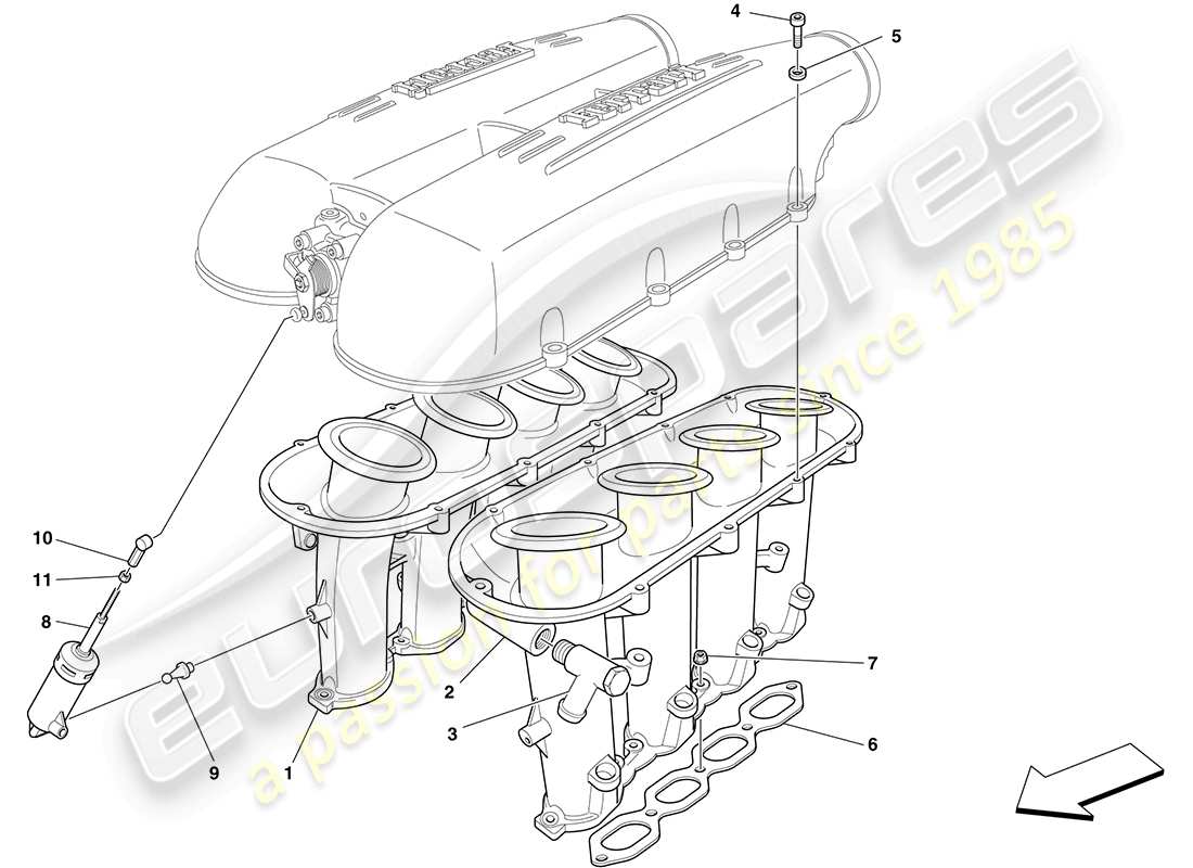 ferrari f430 coupe (rhd) collettore di aspirazione schema delle parti