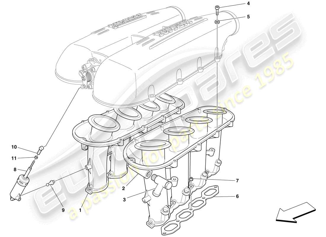 ferrari f430 scuderia (rhd) collettore di aspirazione diagramma delle parti