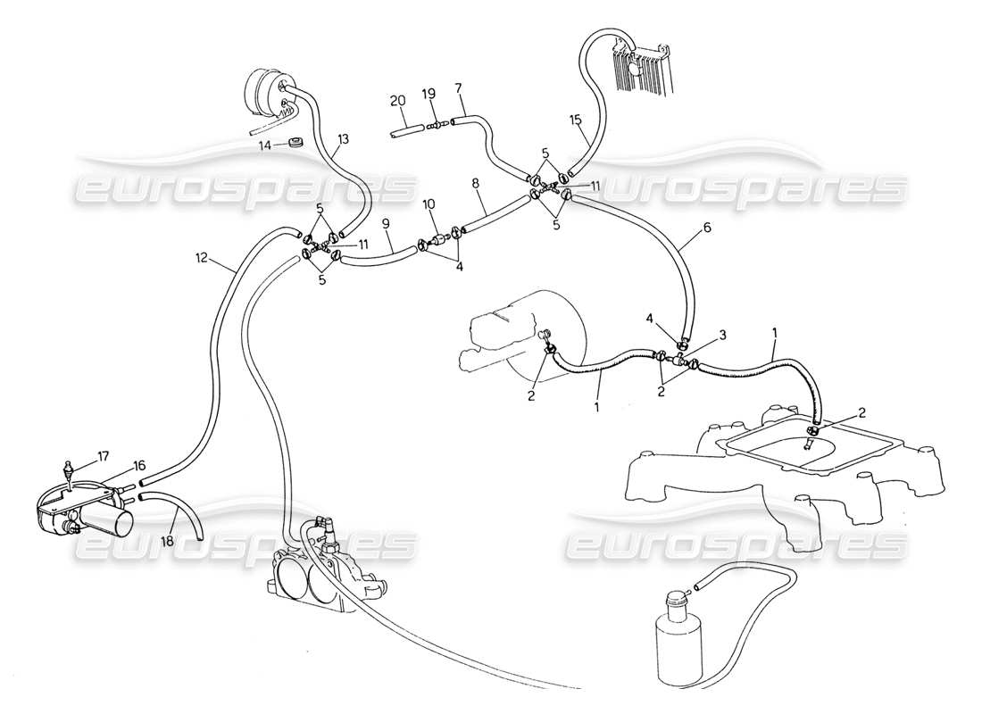 maserati 222 / 222e biturbo schema delle parti del sistema di evaporazione (sterzo destro con sonda lambda).