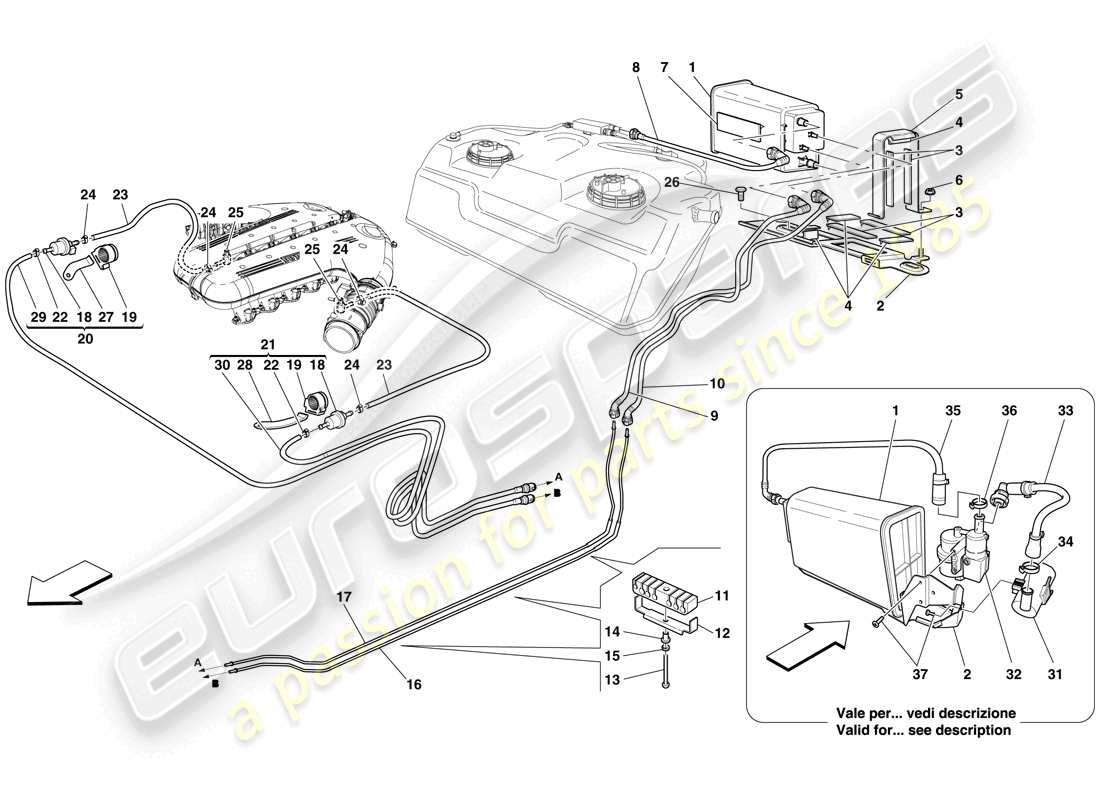 ferrari 599 gto (rhd) sistema di controllo emissioni evaporative diagramma delle parti