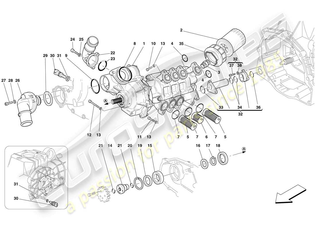 ferrari f430 spider (europe) pompa olio/acqua diagramma delle parti