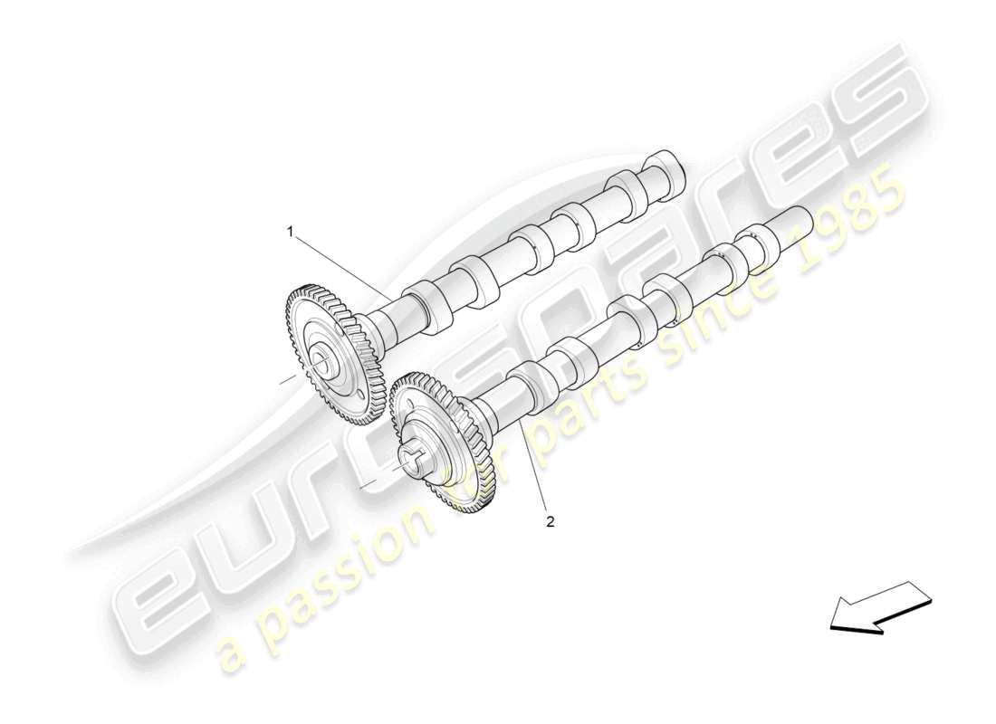 maserati levante (2017) alberi a camme della testata sinistra diagramma delle parti