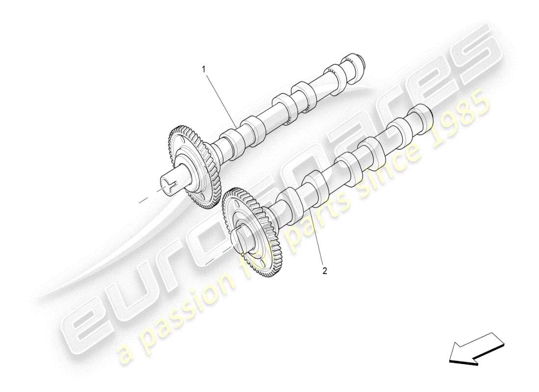 maserati ghibli (2019) diagramma delle parti degli alberi a camme della testata destra