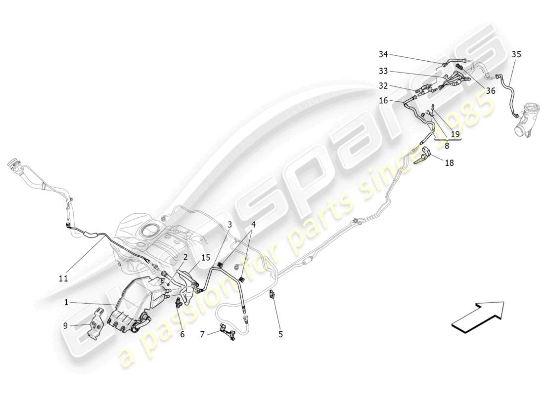 maserati levante gts (2020) diagramma delle parti del sistema di ricircolo dei vapori di carburante