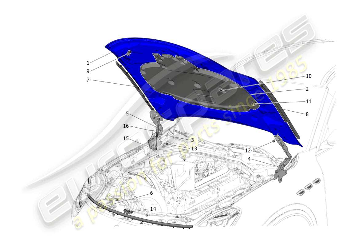 maserati grecale trofeo (2023) coperchio anteriore diagramma delle parti