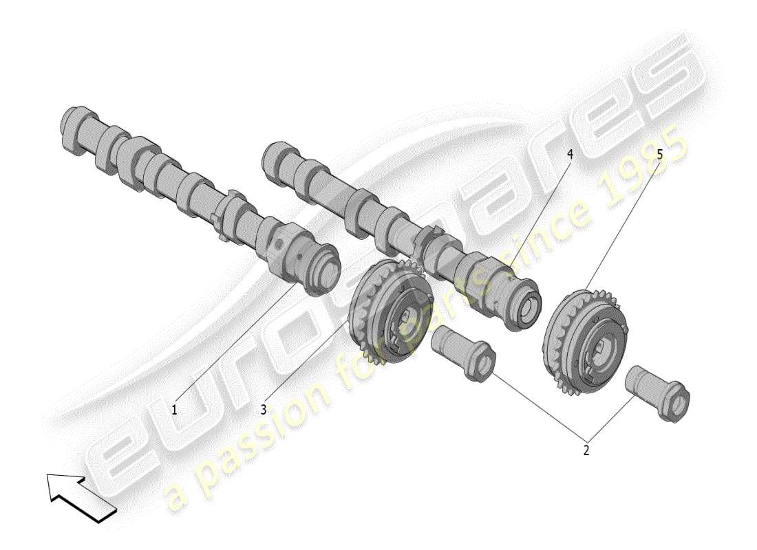 maserati mc20 (2024) diagramma delle parti degli alberi a camme della testata destra