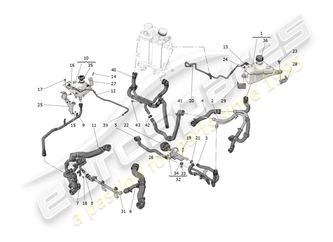 maserati grecale trofeo (2023) sistema di raffreddamento: diagramma delle parti di nourice e linee