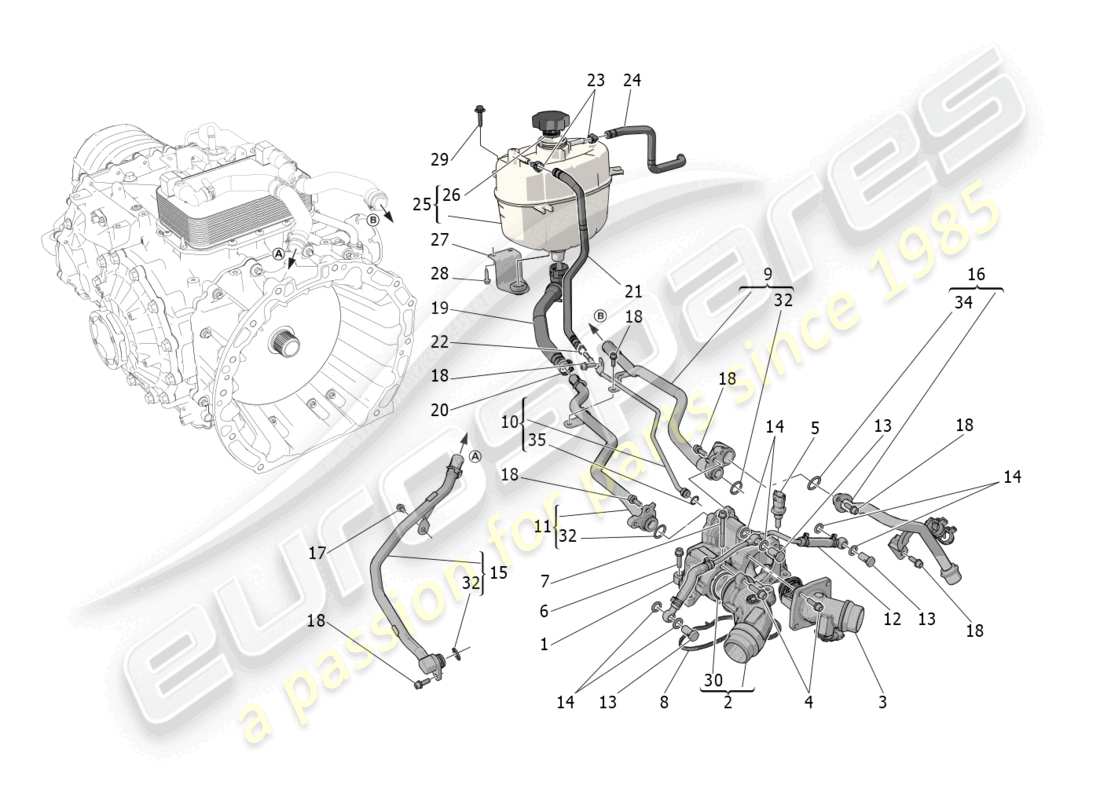 maserati mc20 (2023) sistema di raffreddamento: diagramma delle parti di nourice e linee