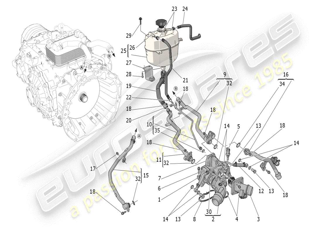 maserati mc20 (2024) sistema di raffreddamento: alimentazione e linee diagramma delle parti
