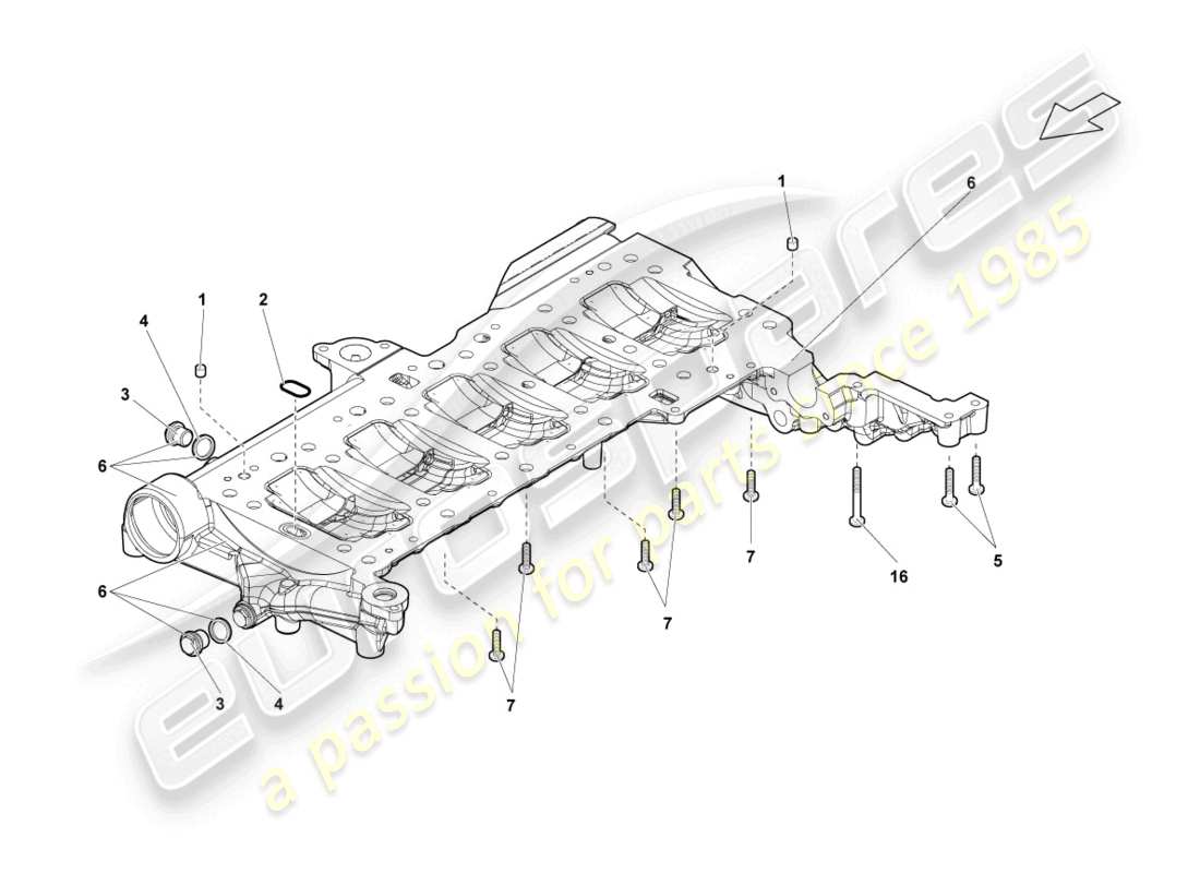 lamborghini lp560-4 spider (2013) coppa dell'olio motore schema delle parti