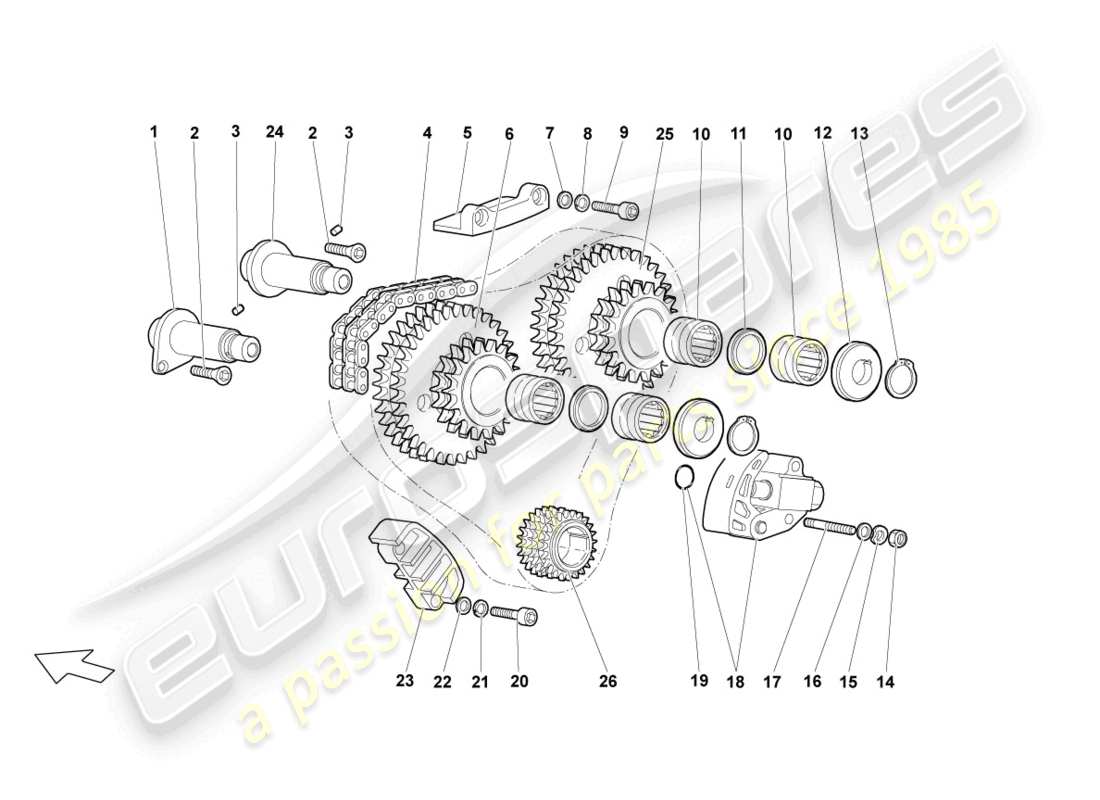 lamborghini lp640 roadster (2009) diagramma delle parti della catena di distribuzione