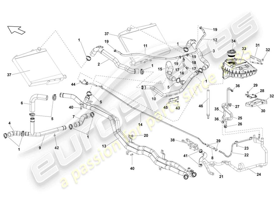 lamborghini lp550-2 spyder (2010) sistema di raffreddamento del liquido di raffreddamento schema delle parti