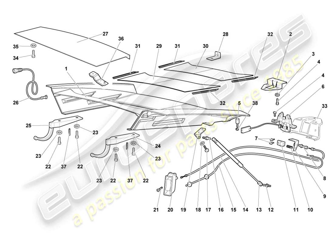 lamborghini lp640 coupe (2010) coperchio motore trasparente schema delle parti