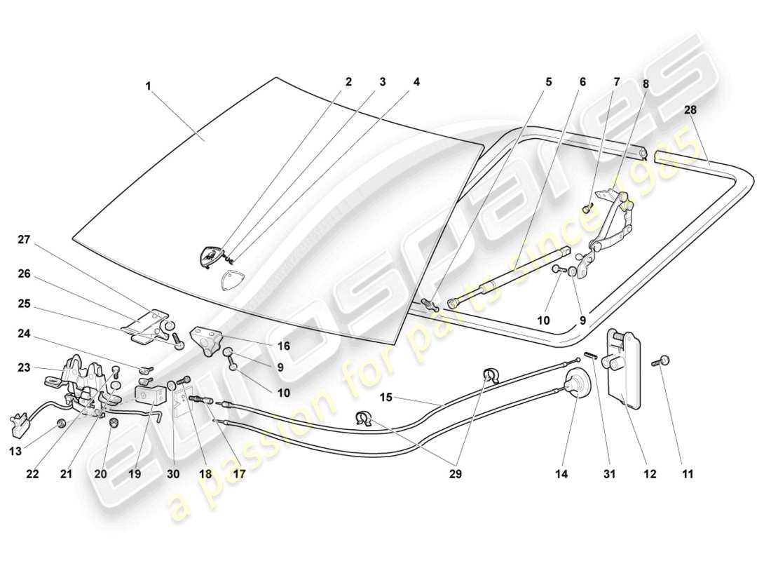 lamborghini lp640 roadster (2010) diagramma delle parti del cofano