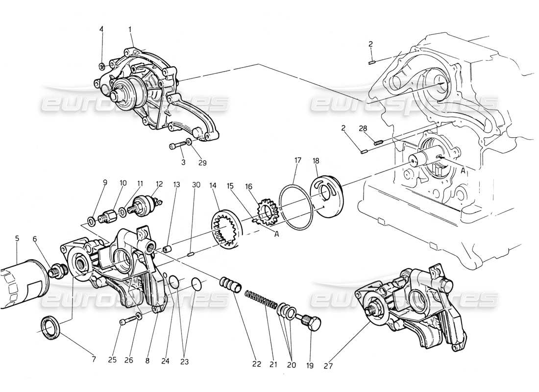 maserati biturbo spider pompa dell'acqua - schema delle parti della pompa dell'olio
