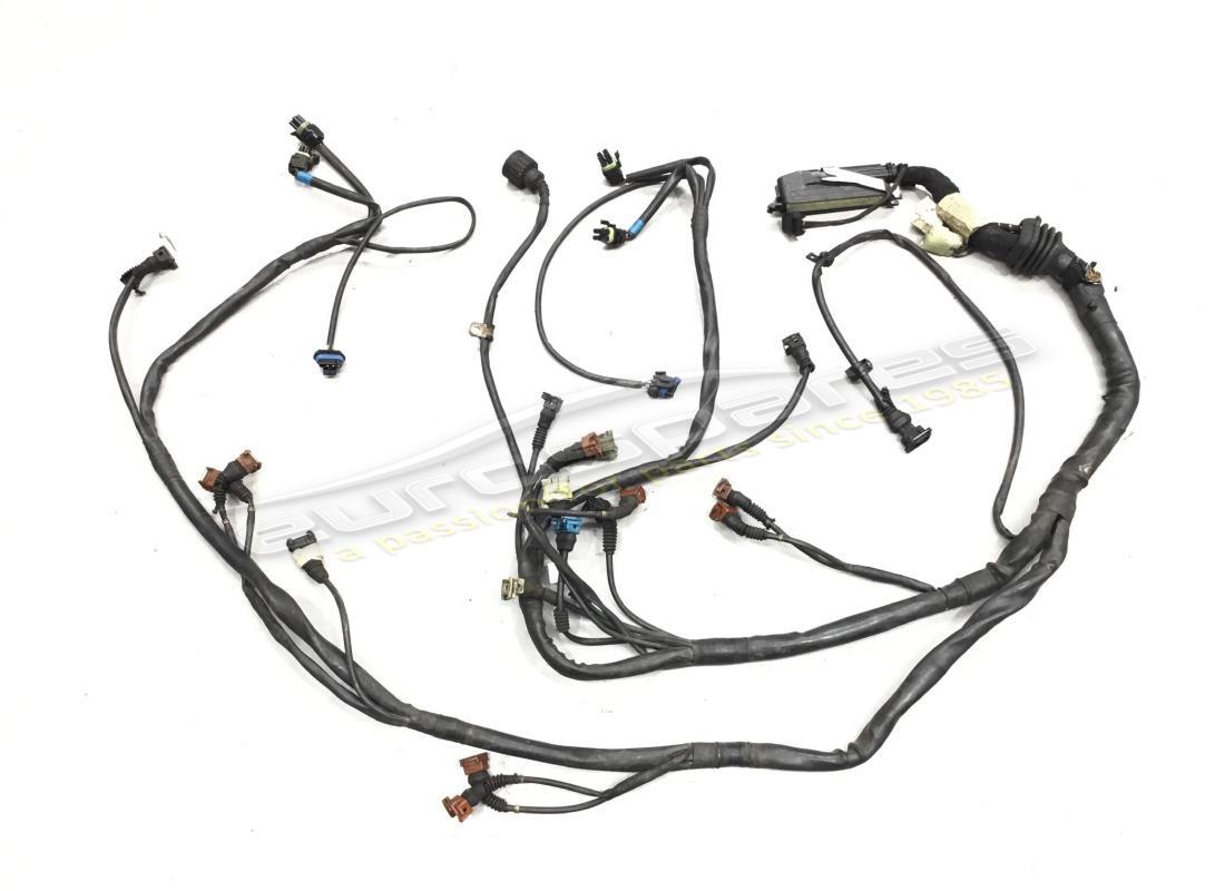 usati ferrari cavi iniezione motore dx/sx. numero parte 168496 (1)