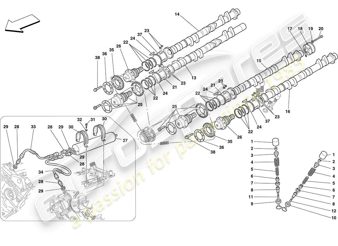 ferrari f430 coupe (europe) distribuzione - punterie schema delle parti