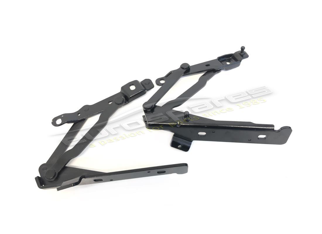 NUOVO Ferrari COPERCHIO VANO BAGAGLI KINE . NUMERO PARTE 70003437 (1)