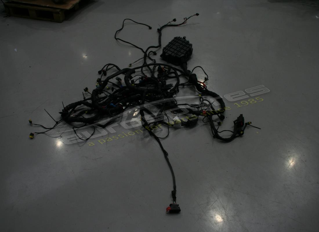 CABLAGGIO VANO MOTORE USATO Maserati HA . NUMERO PARTE 341064 (1)