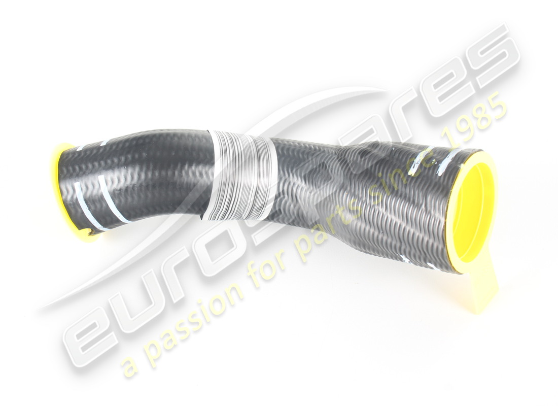 nuovo ferrari tubo dell'acqua dalla valvola al radiatore. numero parte 260080 (1)
